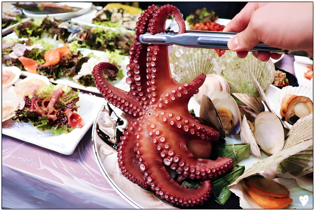 광희해물촌 모둠회 세트, 자연산 활어 한 상